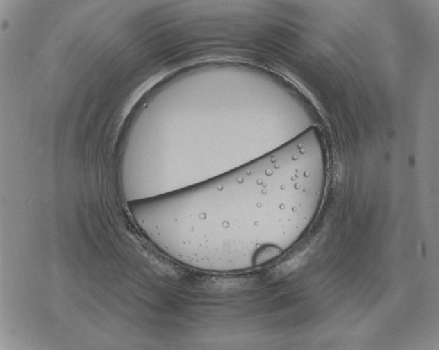 X0000075860829200610061935