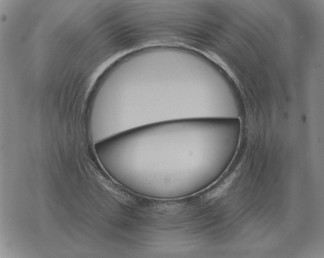 X0000075860830200610061935