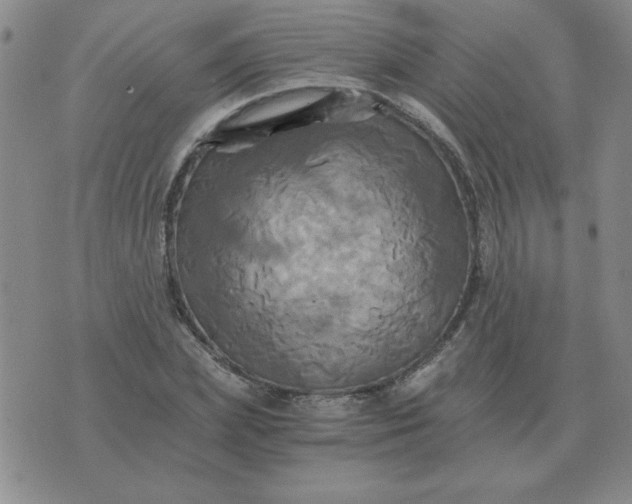 X0000075860831200610061935