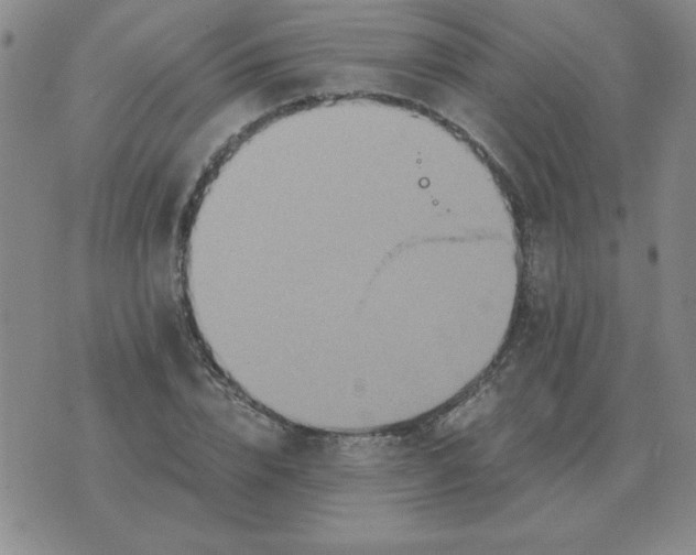 X0000075860832200610061935