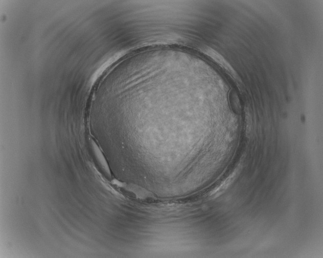 X0000075860834200610061935