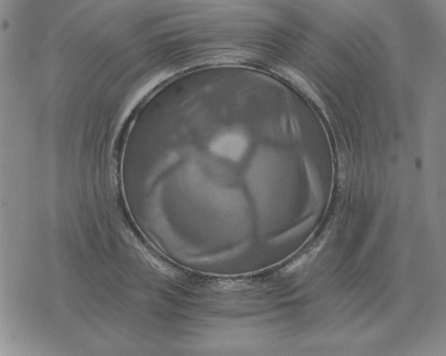 X0000075860835200610061935