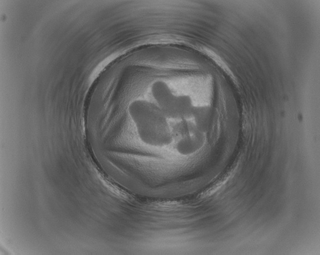 X0000075860837200610061935