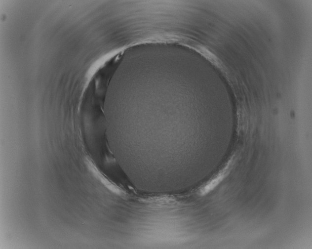 X0000075860838200610061935