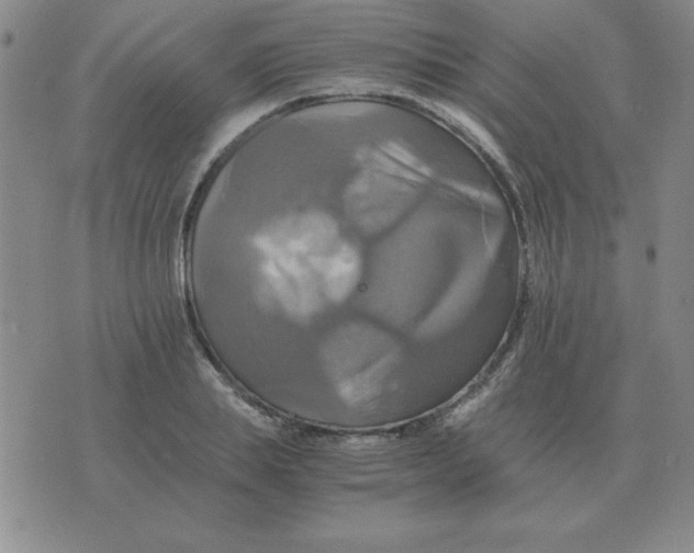 X0000075860839200610061935