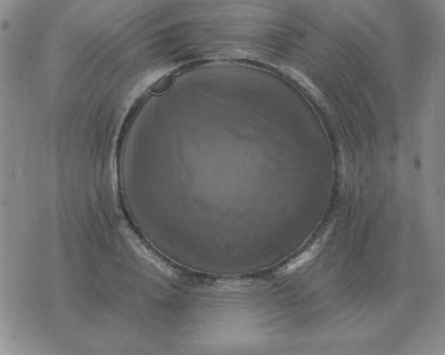 X0000075860840200610061935