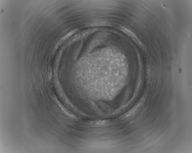 X0000075860841200610061935