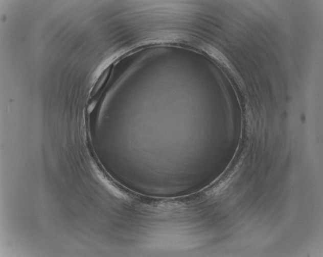 X0000075860842200610061935