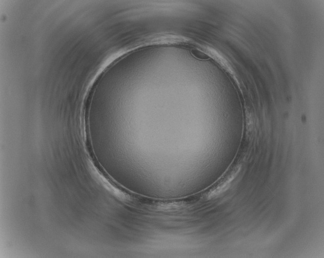 X0000075860843200610061935