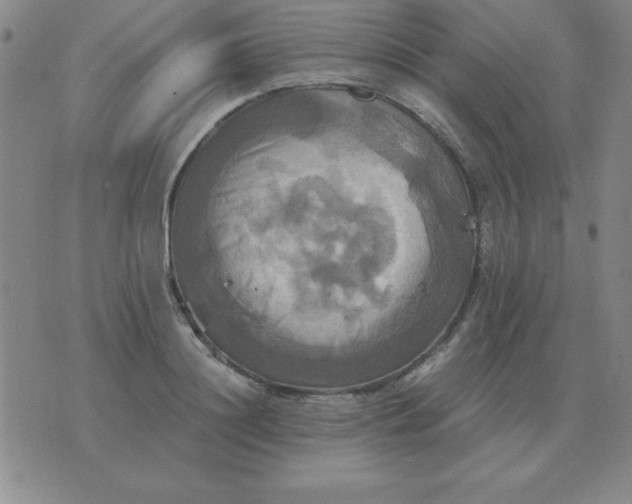 X0000075860844200610061935