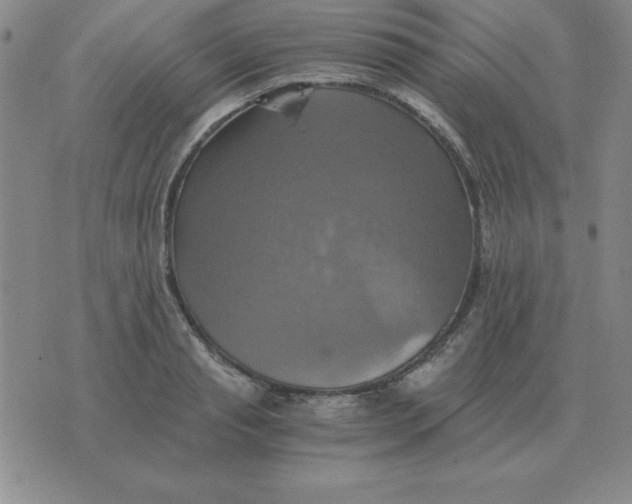 X0000075860845200610061935