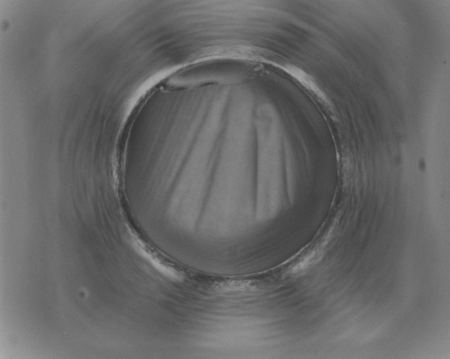 X0000075860846200610061935