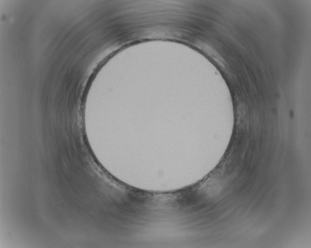 X0000075860848200610061935