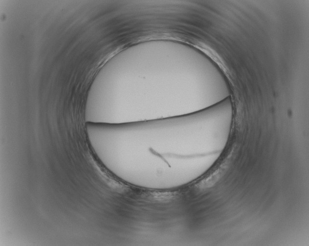 X0000075860849200610061935