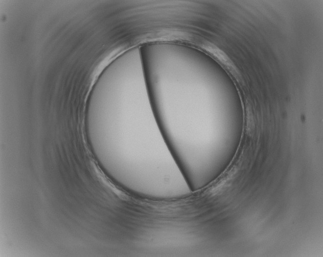 X0000075860850200610061935