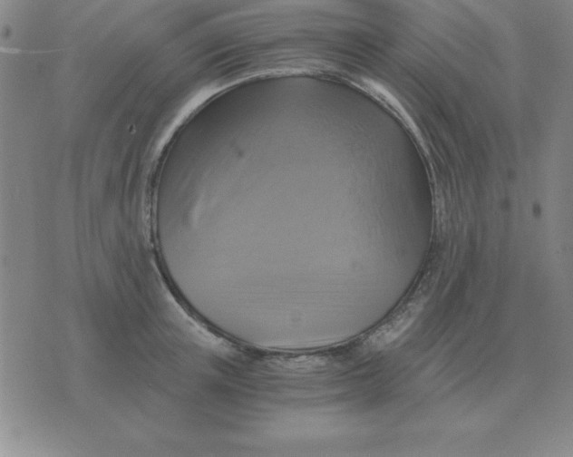 X0000075860851200610061935