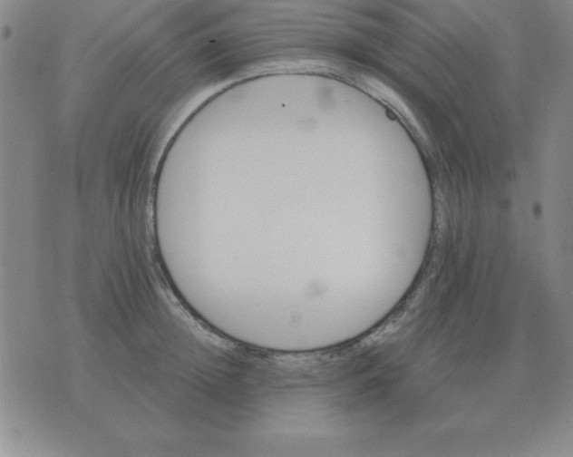 X0000075860852200610061935