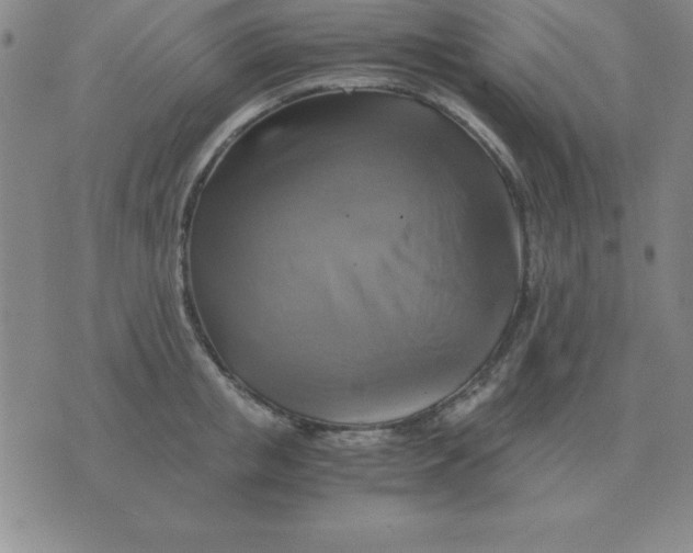 X0000075860853200610061935