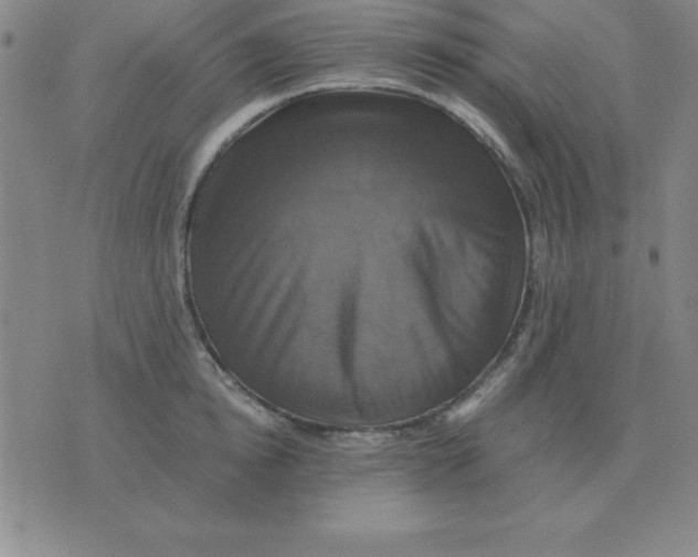 X0000075860854200610061935