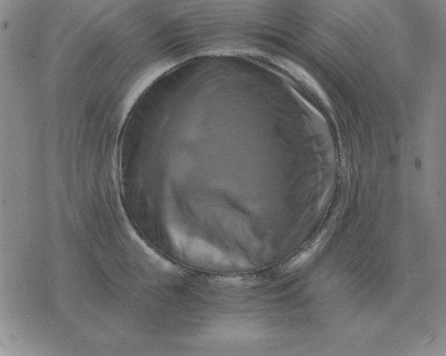 X0000075860855200610061935