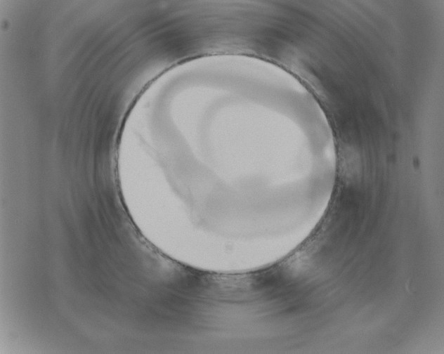 X0000075860856200610061935