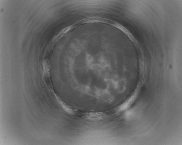 X0000075860857200610061935