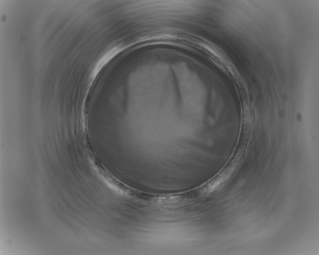 X0000075860858200610061935