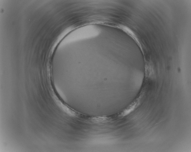 X0000075860859200610061935