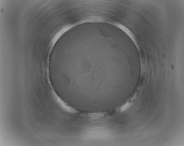 X0000075860861200610061935