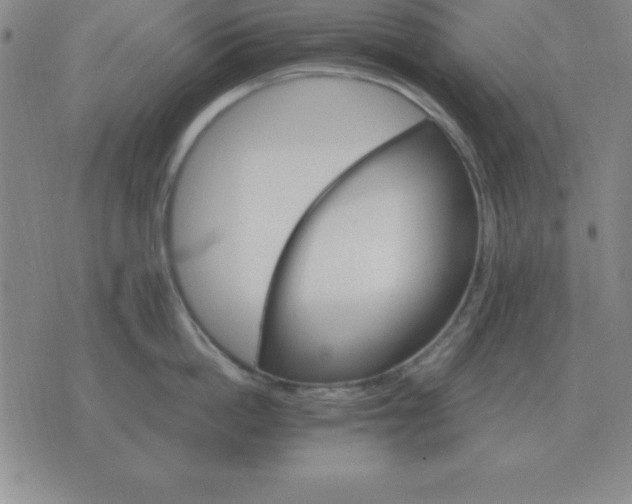 X0000075860862200610061935