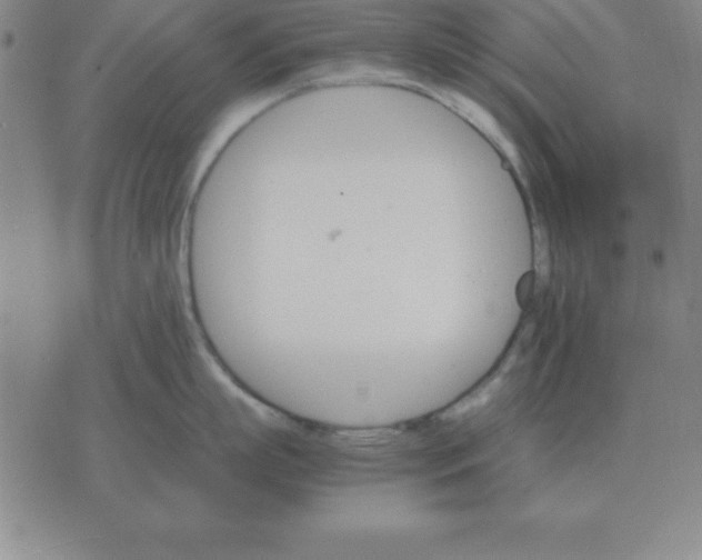 X0000075860863200610061935