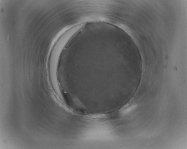 X0000075860864200610061935