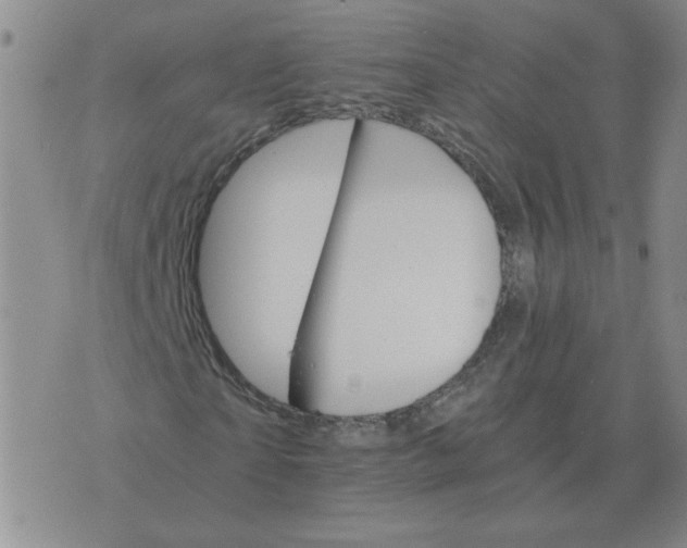 X0000075860865200610061935