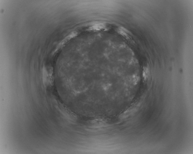 X0000075860867200610061935