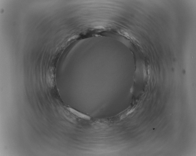 X0000075860868200610061935