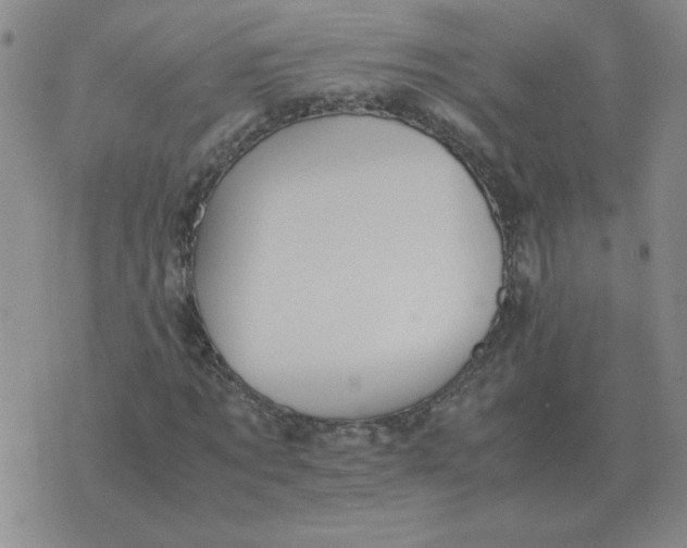 X0000075860869200610061935