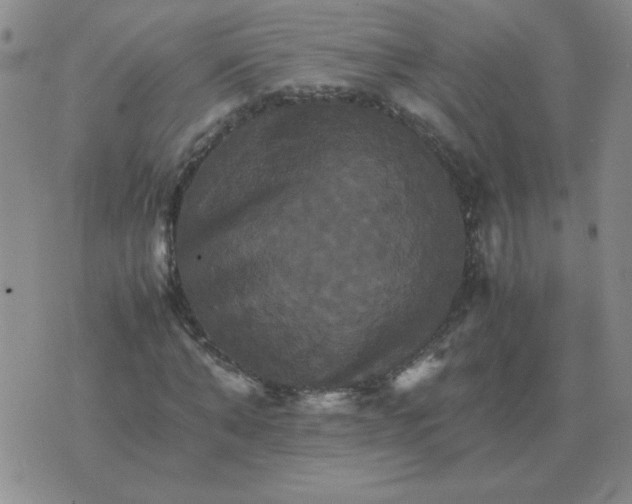 X0000075860870200610061935