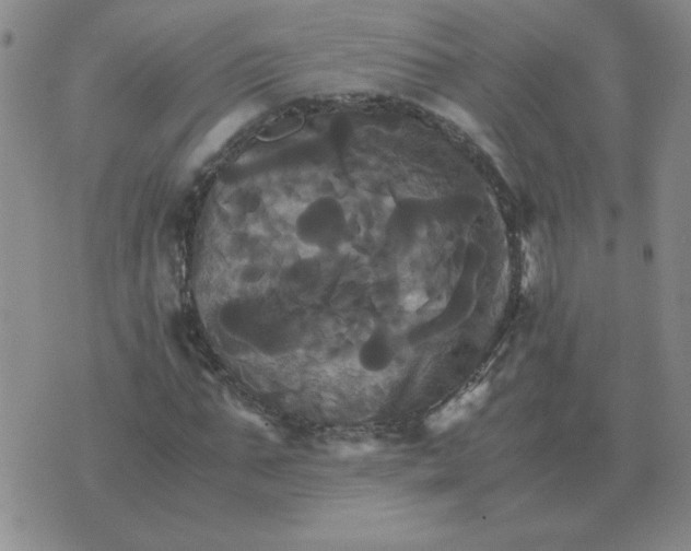 X0000075860871200610061935