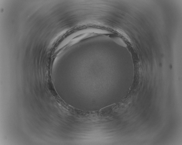 X0000075860872200610061935