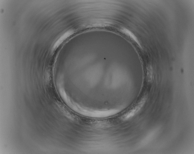 X0000075860874200610061934