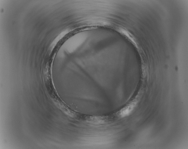 X0000075860875200610061934