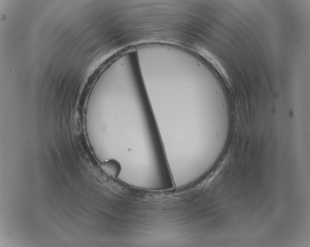 X0000075860876200610061934