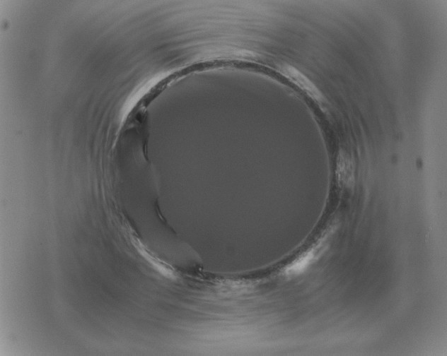 X0000075860877200610061934