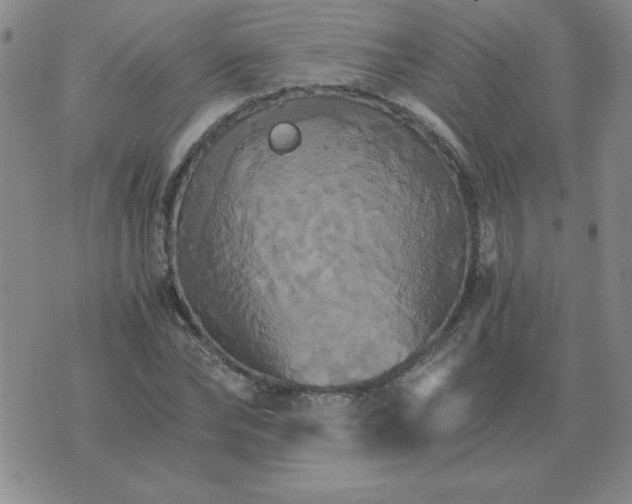 X0000075860878200610061934