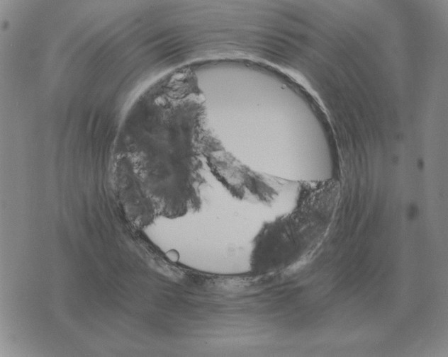 X0000075860879200610061934