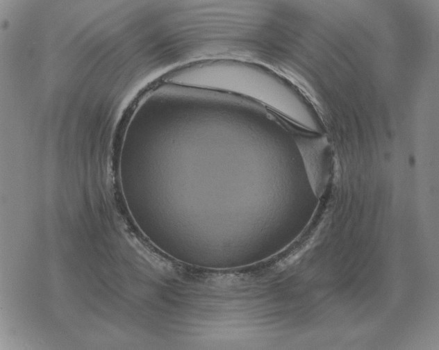 X0000075860880200610061934