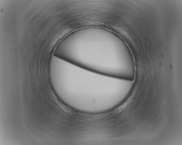 X0000075860881200610061934