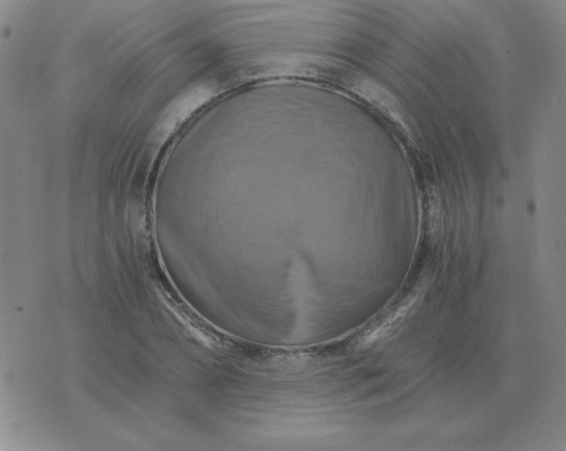 X0000075860882200610061934