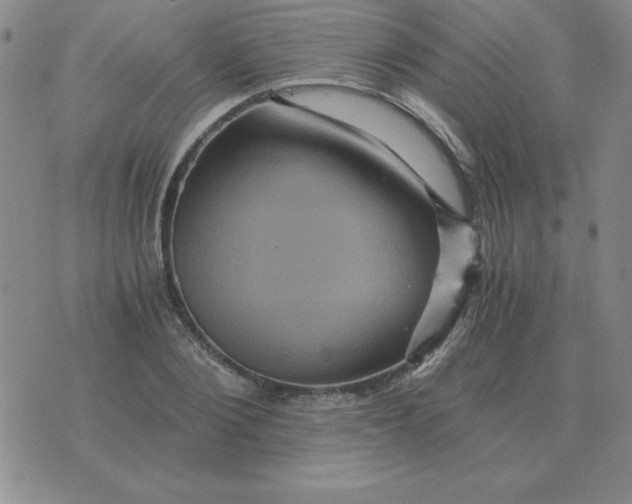 X0000075860884200610061934