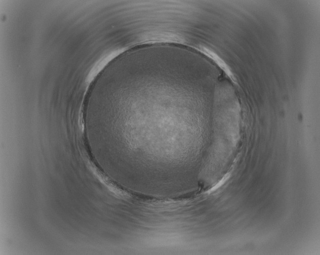 X0000075860885200610061934